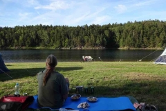 142-2024-P-Camping-am-See