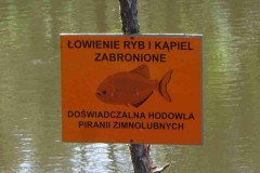 281-2024-P-Masuren