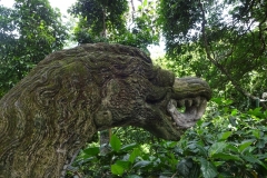 128_indonesien_bali_ubud-monkey-forest