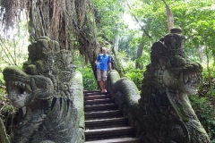 130_indonesien_bali_ubud-monkey-forest