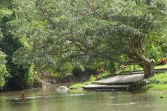 142_indonesien_bali_ubud-ayung-river