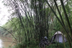 68_china_nach-qianwei-bambus