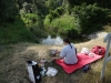 Picknick in den Donauauen