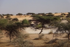 70-mauretanien-nach-nouakchott