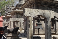 04_nepal_kathmandu_pashupati-nath-tempel
